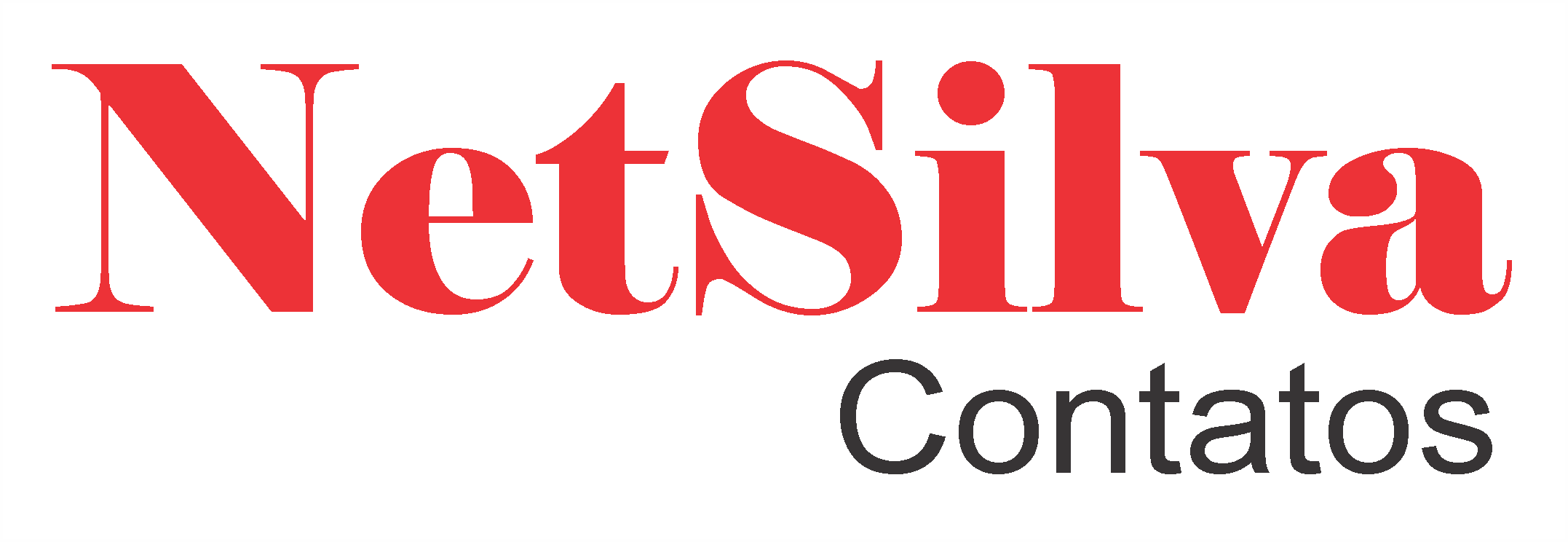 NetSilva Contato